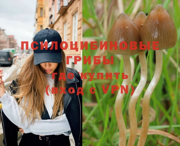 альфа пвп Беломорск