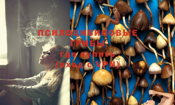 мескалин Балахна