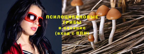 альфа пвп Беломорск