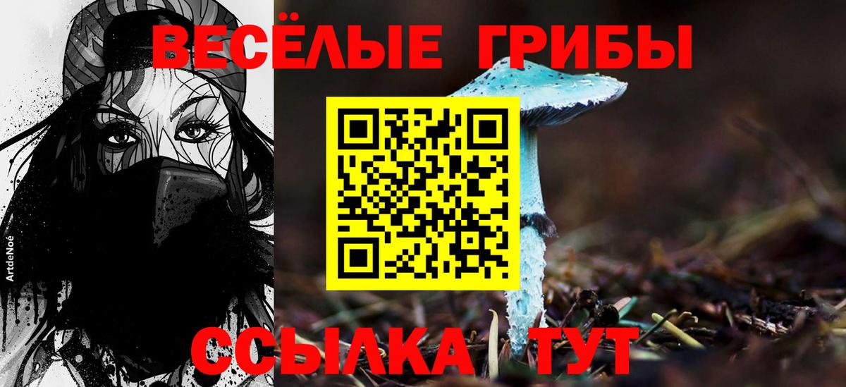Бошки Шишки Кувандык